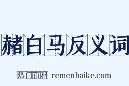 赭白马反义词是什么意思的图片